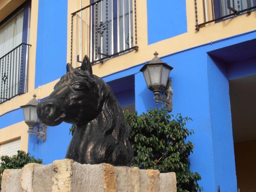 Hotel Caballo Negro Puerto Real Exteriér fotografie
